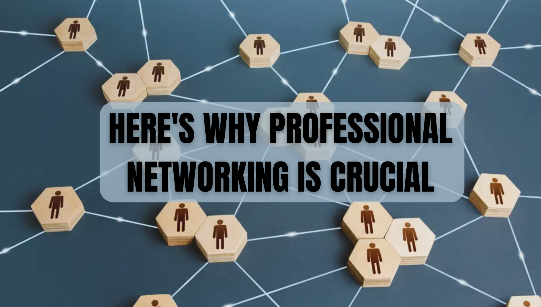 Here's why professional networking is crucial